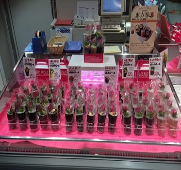 Japanese sushi Roll machine as seen on TV Looking for distributor in USA sushi tray