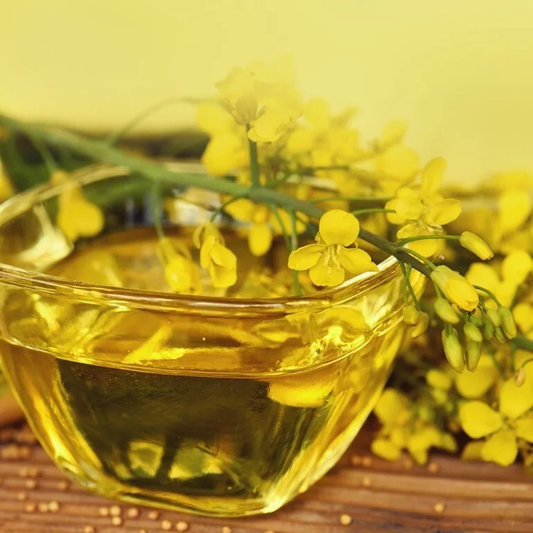 Canola Oil 1.jpg