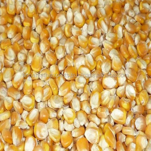 Animal Feed Yellow Maize Poultry Feed