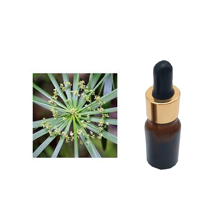 Wholesale Price Pure Cypriol Essential Oil used in the medication of skin diseases at Lowest Price