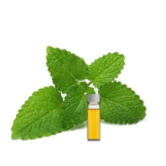 Качественное 100% чистое и свежее эфирное масло лимонного бальзама