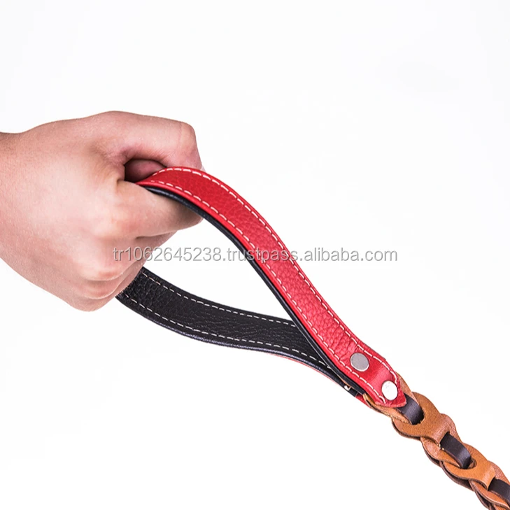 
Soft Touch Collars Padded Leather Dog Collar Leash 