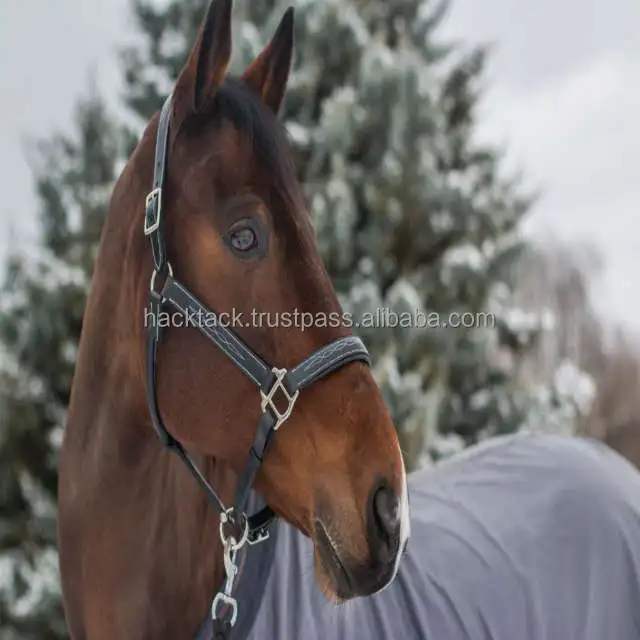 Smooth Fini sh Leather Halter Brown Color Soft Ship Pink Color Padded With Brass Hardware Manufacturer In India