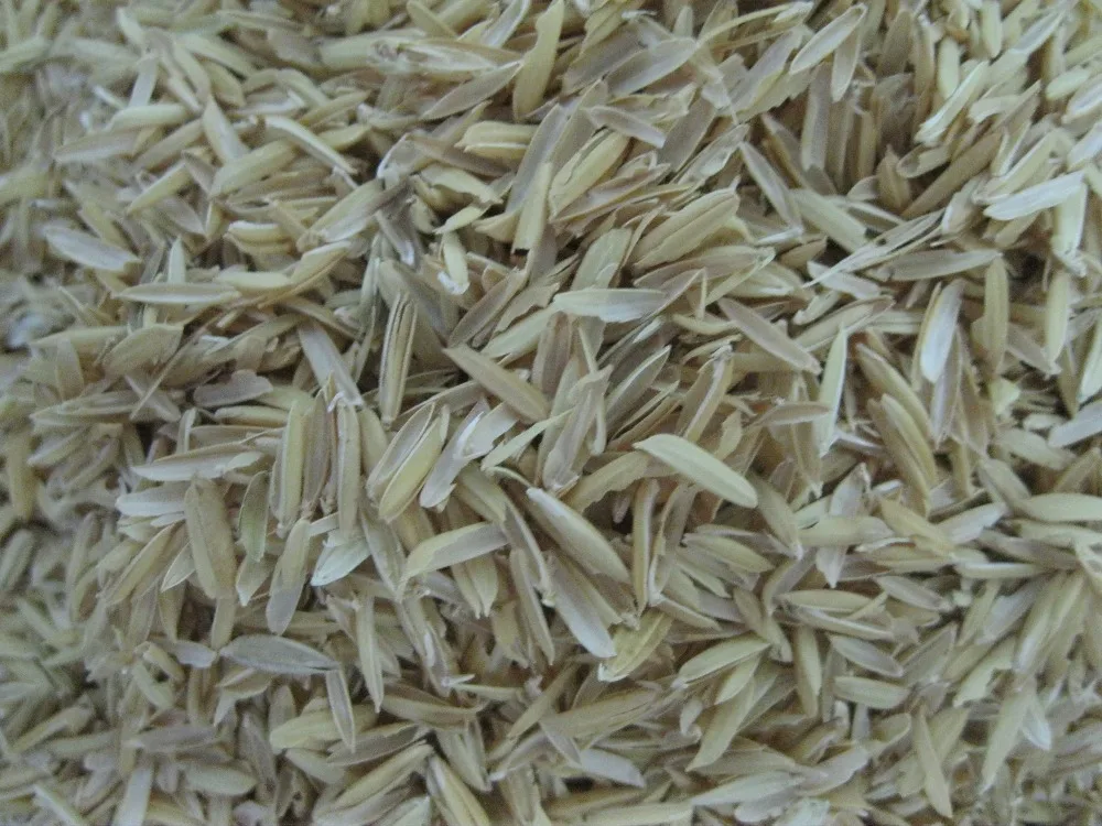 RAW RICE HUSK