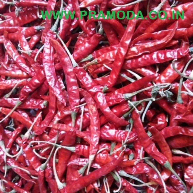 Factory Supply Natural Organic Vietnam Red Chilli in Market Price Best Exporter from India