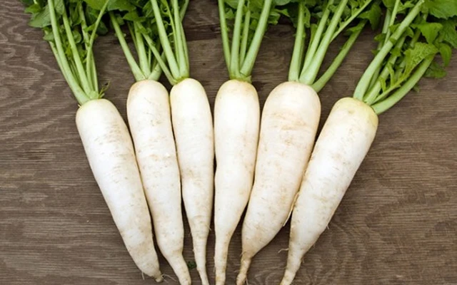 FRESH DAIKON RADISH in BIG SIZE 2020