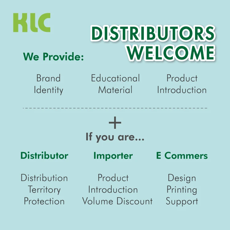 Carbon Insole Patch Deodorizer Remove Shoe Odor Eliminator