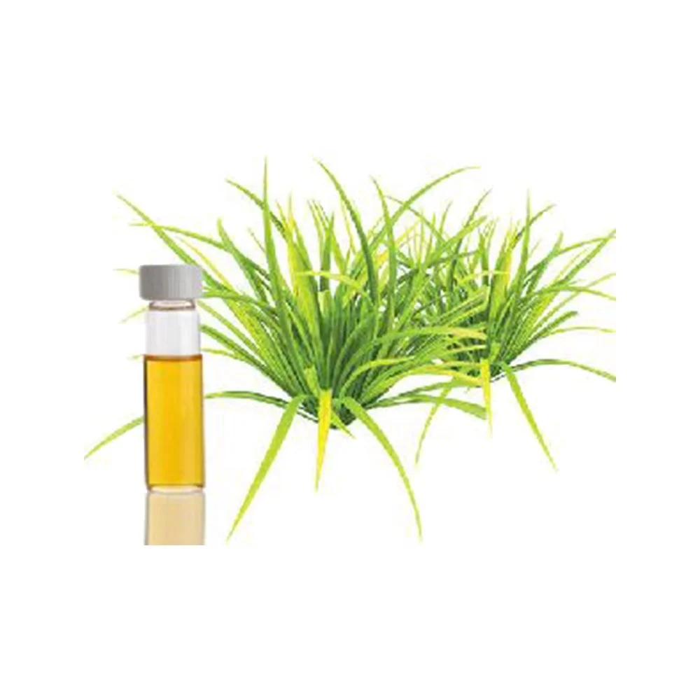 Organic Citronella Essential Oil - 100% Pure Natural Cymbopogon nardus Plant Extract used to stop Airborne Bacteria at Low Price