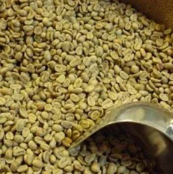 GREEN COFFEE-GREEN COFFEE BEAN VIETNAM in 2018