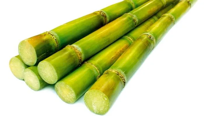 Viet nam frozen sugar cane +84 845 639 639