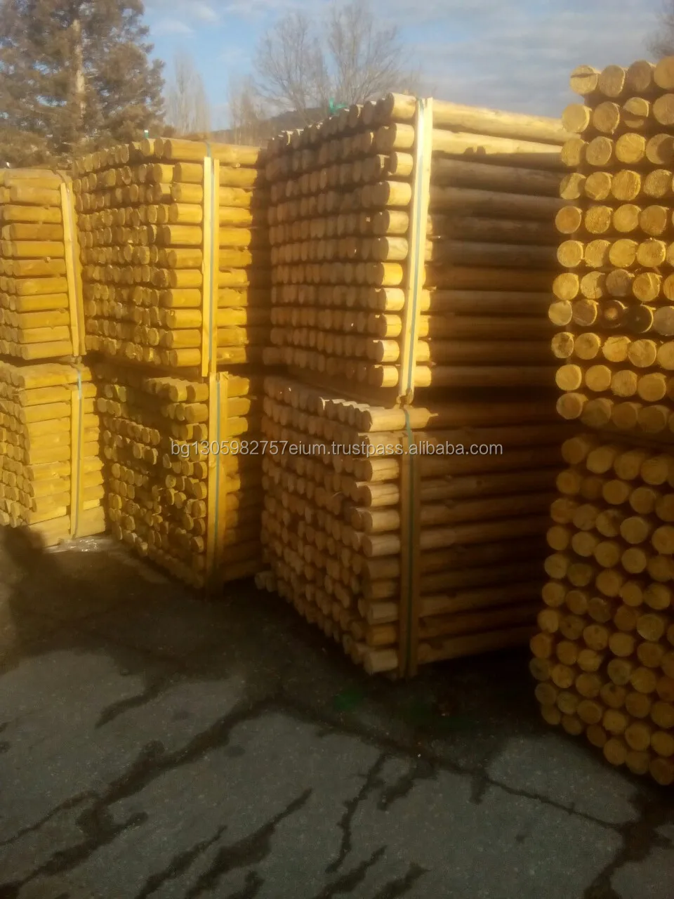 Sharp Point Wood Utility Poles coniferous, lathed and impregnated by high pressure vacuum