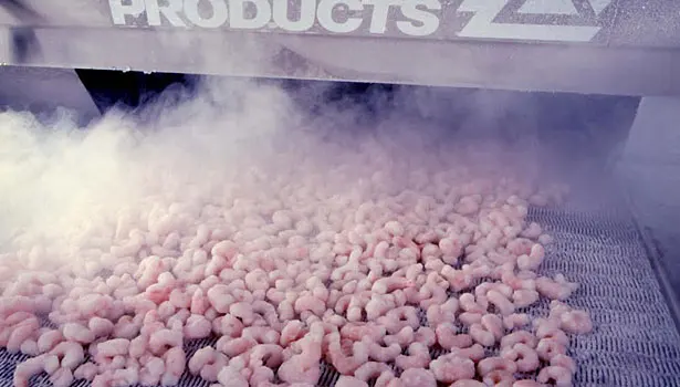 1t 2t 5t 10 Ton Capacity Machine Iqf Quick Fast Tunnel Freezing Chicken For Berries Poultry