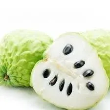 Дешевая цена в продаже замороженный SOURSOP высококачественный экспорт из Вьетнама/мс. Келли + 84 859300927