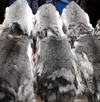 Rabbit Skin Pelt High Quality Soft Skin Up to 45 cm Length In All Natural Colors