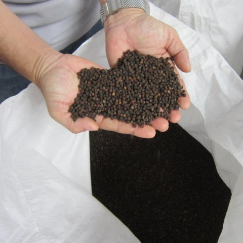 DRIED BLACK PEPPER 550/560/570/580GL ORIGINAL FROM VIETNAM