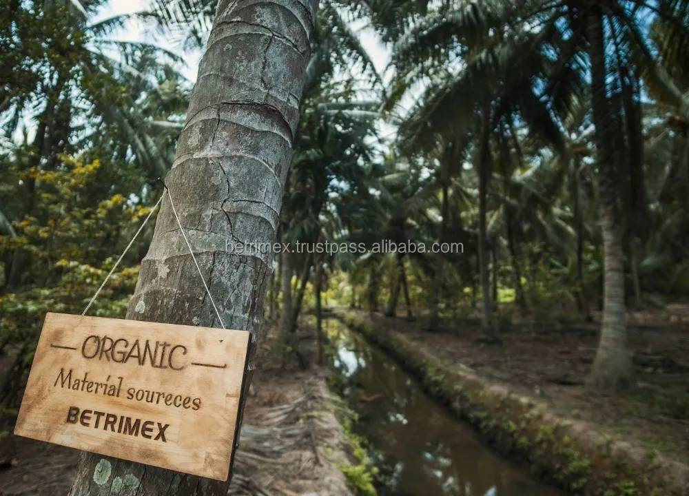 Cocoxim Coconut milk plain 100% - 330ml