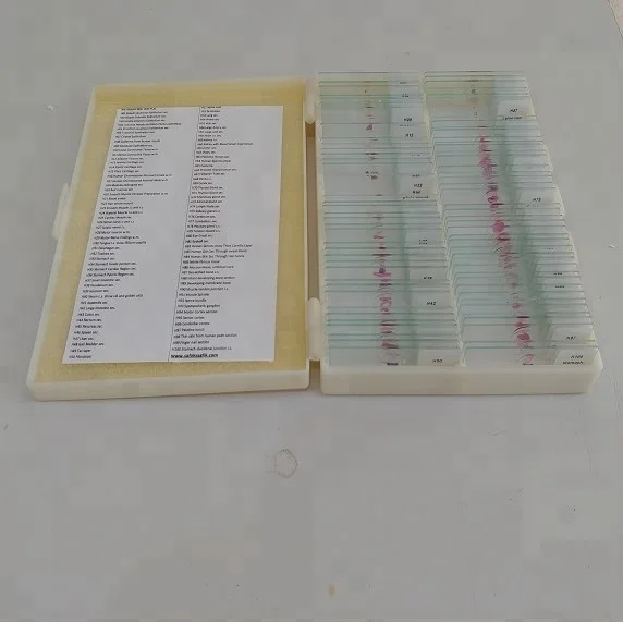Microscope Histology Human and Medical Prepared Histology Slides Set Biology Histology Educational Microscope Slides
