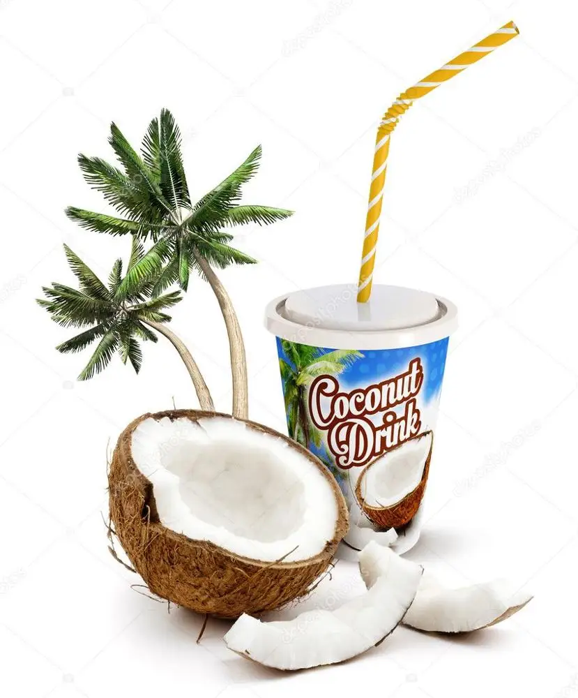 VIETNAM WHITE COLOR DESICCATED COCONUT LOW FAT 30% (CONTACT: (+84)972678053)