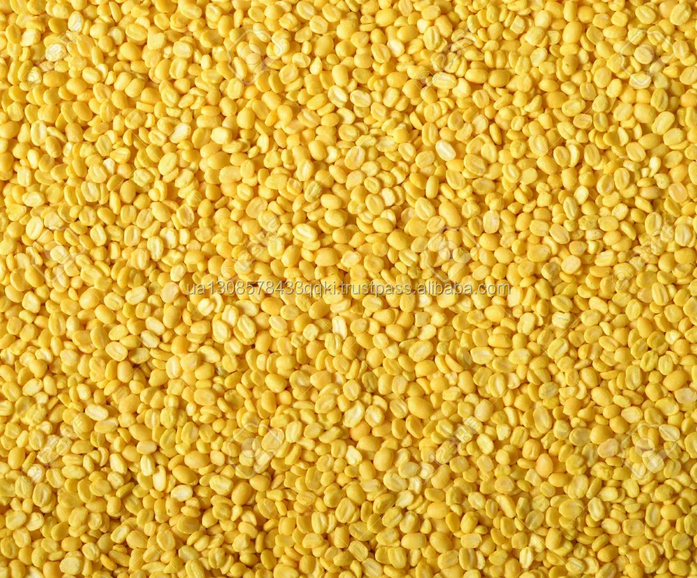 Yellow Lentils / Yellow Whole Lentils and Yellow Split Lentils