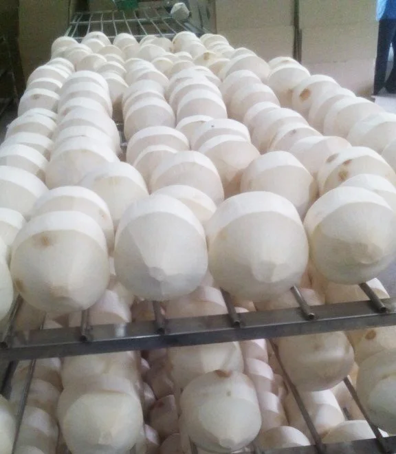 Coconut Fresh 2020  in VietNam