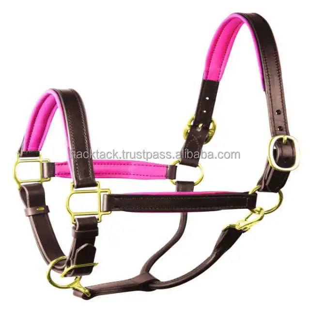 Smooth Fini sh Leather Halter Brown Color Soft Ship Pink Color Padded With Brass Hardware Manufacturer In India