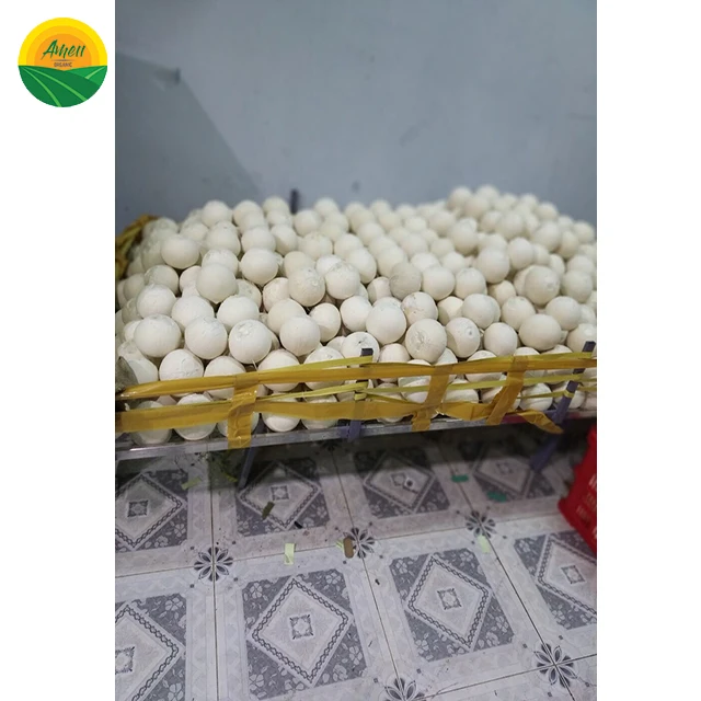 Кокос высшего качества по конкурентоспособной цене из Вьетнама