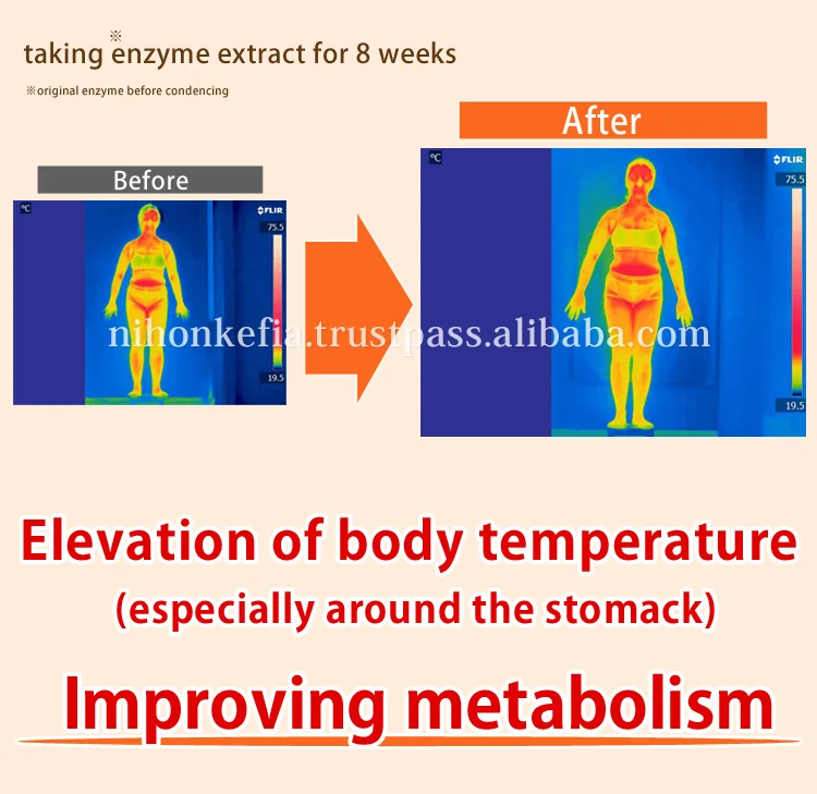 Popular and High quality blood circulation treatment product ( Concentrated enzyme ) with multiple functions made in Japan