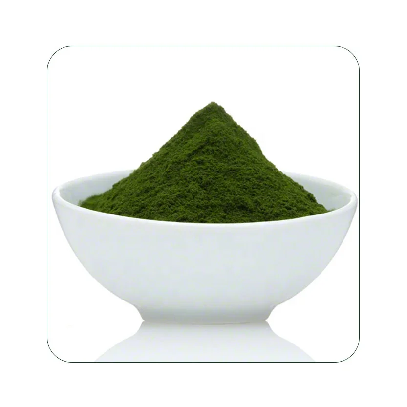 Натуральный органический порошок пшеничной травы оптовик индия