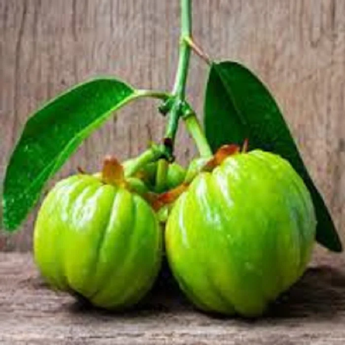 Garcinia Cambogia (80 % ) HCA garcinia cambogia extract pure 60