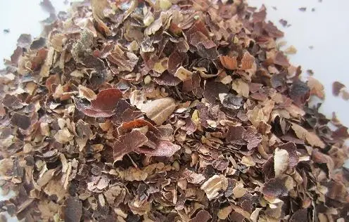 Cashew husk/ cashew in Vietnam