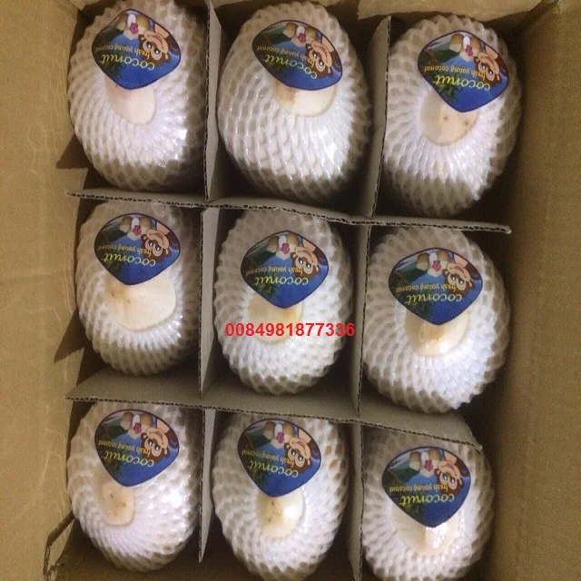 green young coconut for sale