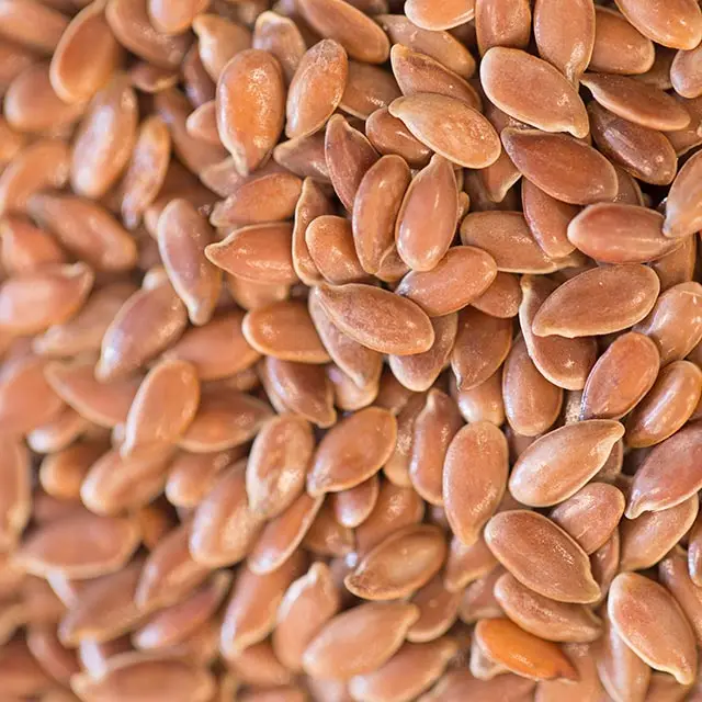 
Flax Seeds 