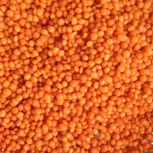 Желтая разделенная чечечевица и красная Masoor Dal импульсы