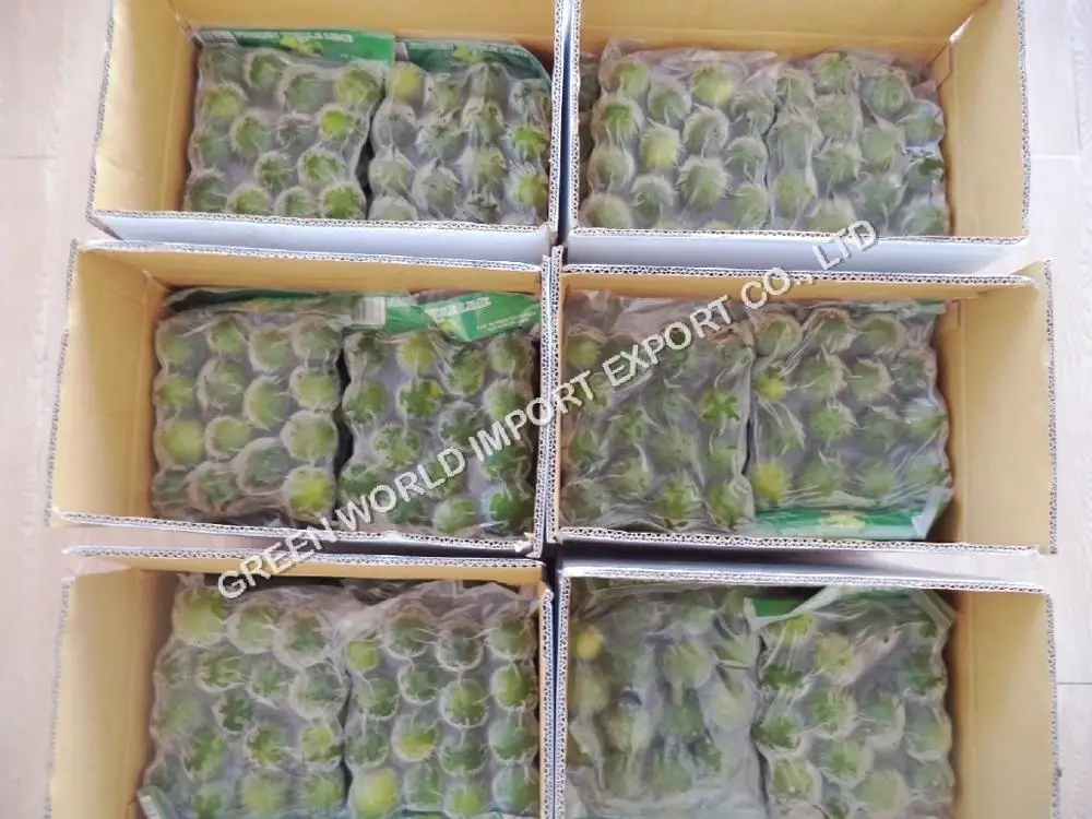 FRESH LEMON IN VIETNAM WITH LARGE QUANTITY