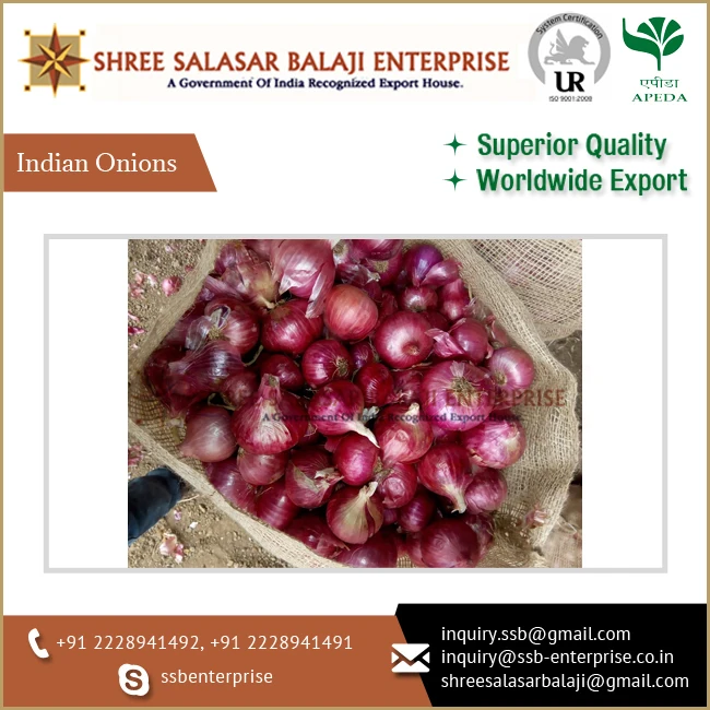 Premium Quality Bulk Selling Export Fresh Red Indian