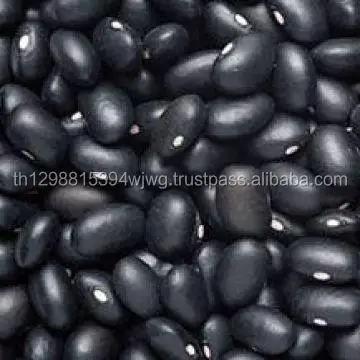 Thailand Red Kidney Beans - Long shape British 190-200 Count