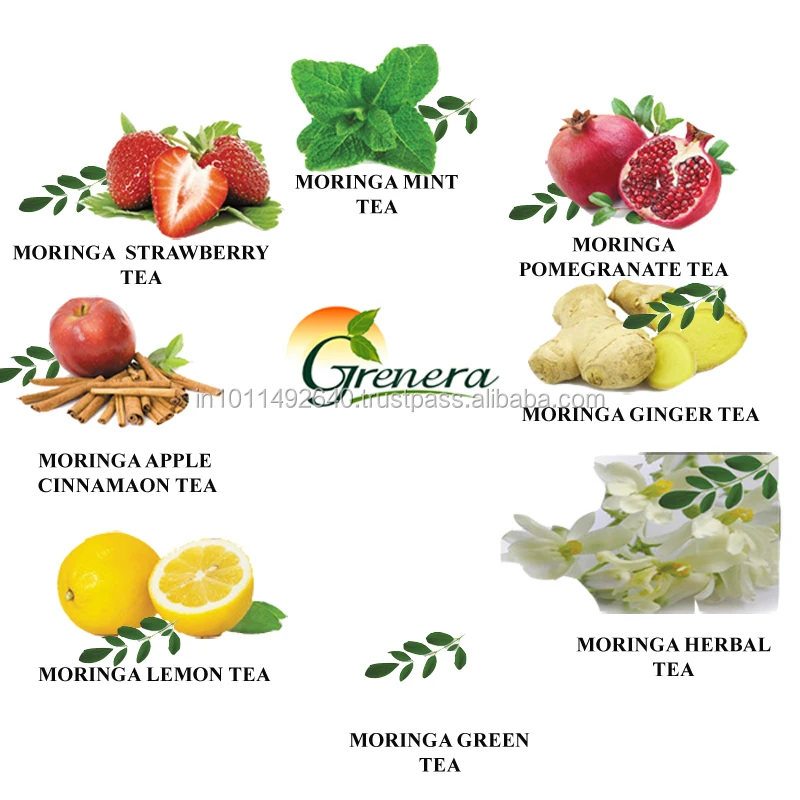 Best Grade Malunggay Oleifera Green Tea