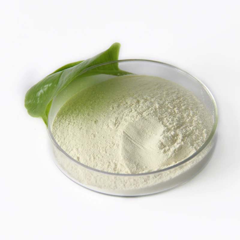 Probiotics bulk Price names probiotics lactos Lactococcus Lactis probiotics powder