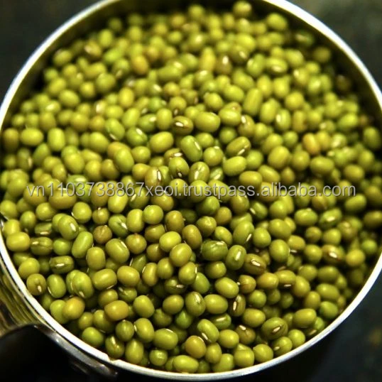 Высококачественная зеленая фасоль из Вьетнама в 2020 году