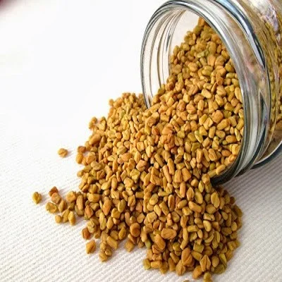 supplier of fenugreek seed from India use for cooking spices 100% pure organic packaging 5kg 10kg 15kg bag