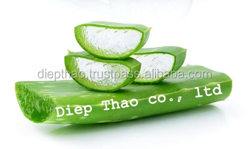 FResh Aloe Vera Leaf