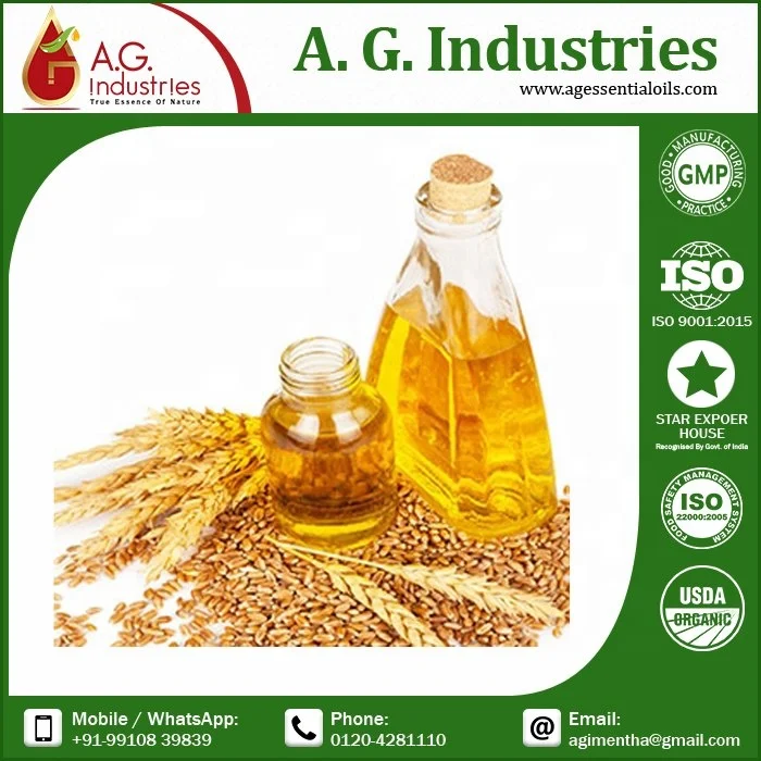 Natural Cold Pressed Wheatgerm Oil Supply to Apply on Skin And Hair buy pure wheatgerm oil from india larges manufacturers