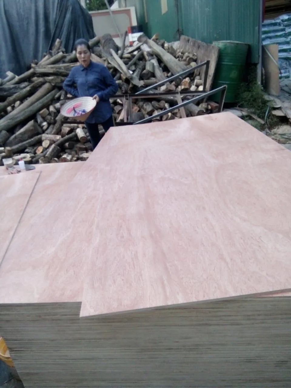 vietnamese thickness packing manufacturer best price plywood