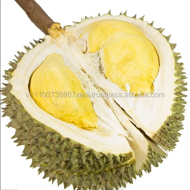 Wholesale for fresh durian with the highest export quality Ms Holiday +84 845 639 639