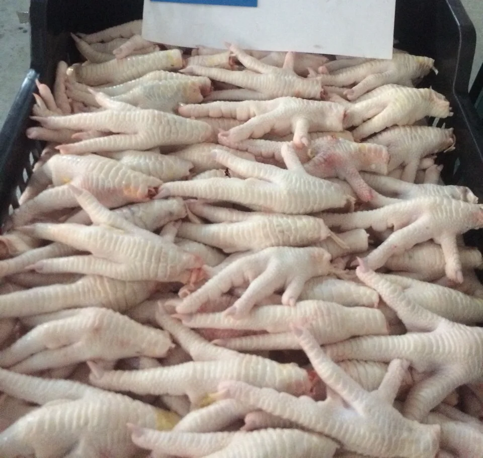 Halal Grade (A) Chicken Paws / Frozen Chicken Feet from Brazil for Asia