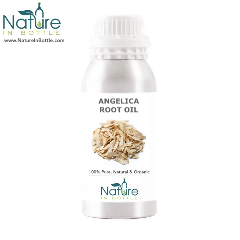 Organic Angelica Oil | Angelica Root Oil | Angelica Archangelica - 100% Natural and Organic Essential Oils - Private Labelling