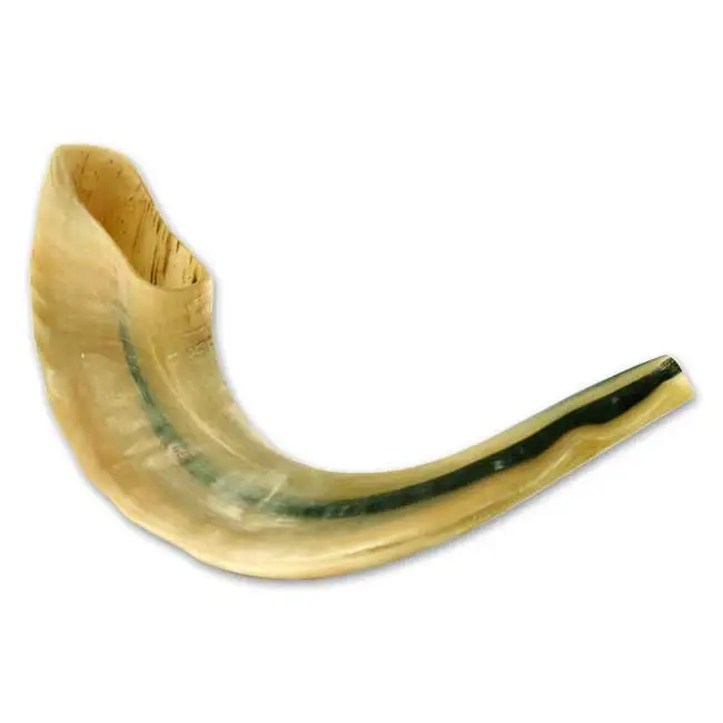 Shofar Kosher Ram Horn Great For Rosh Hashana Yom Kippur Yamim Noraim Bar & Bat Mitzvah Wedding Jewish Holidays Shabbat