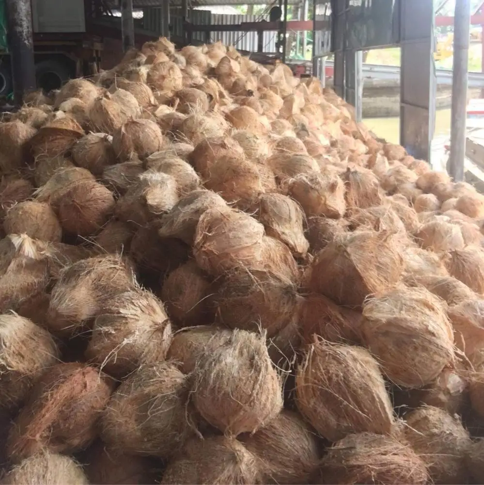 
Semi Husk Coconut/ Full De-Husk Coconut Vietnam_High quality/Cheap price 