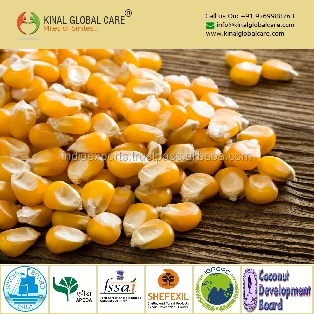 Желтая Кукуруза хорошего качества для продажи