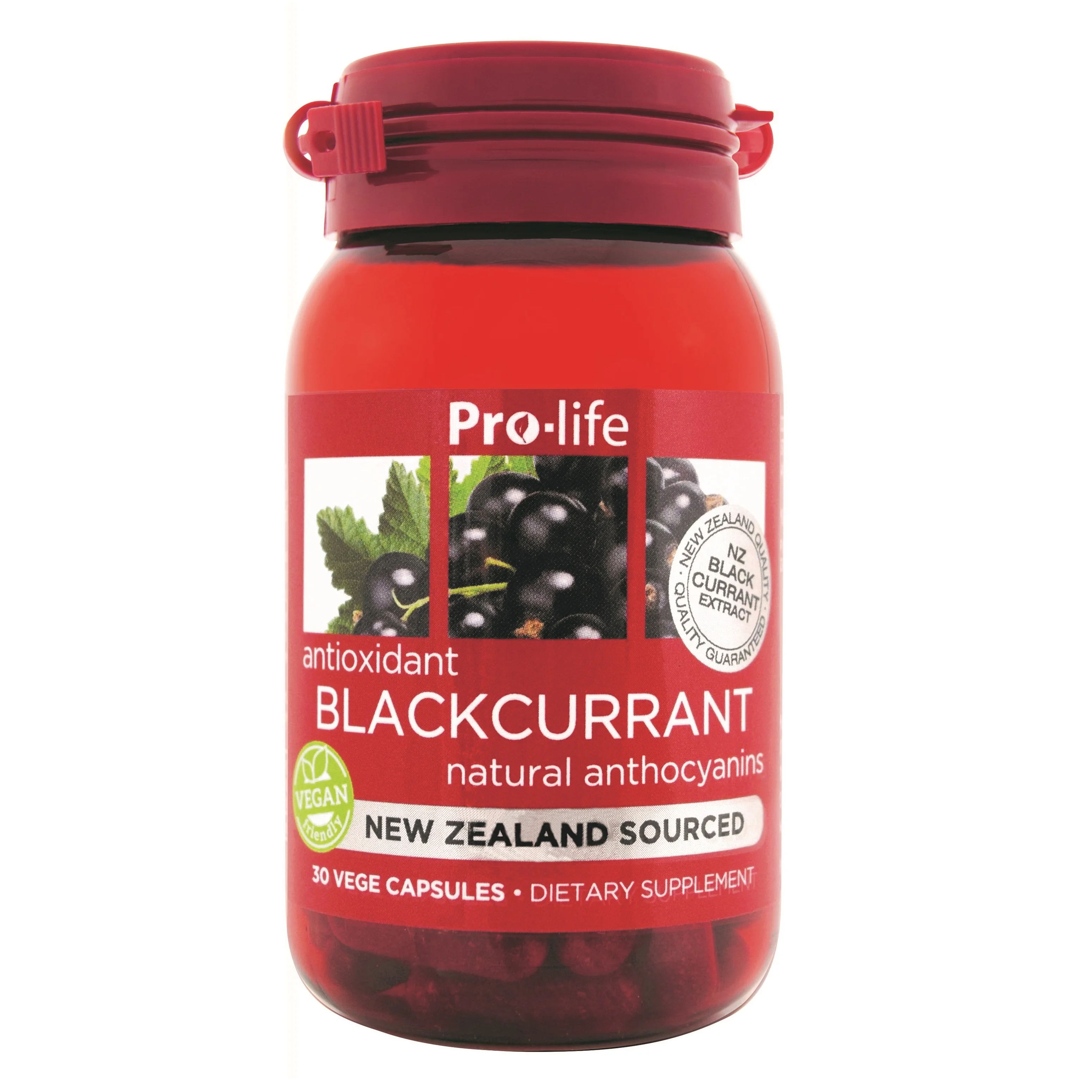 
Pro-life Blackcurrant | Potent Antioxidants, Support Exercise Recovery and Circulation 